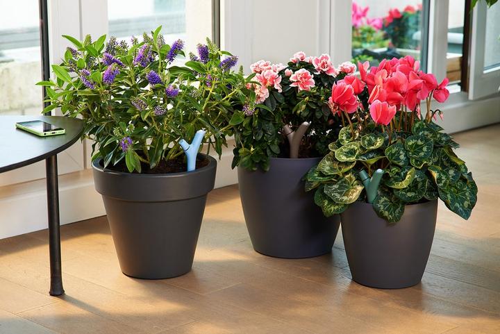 Produktbild Parrot Flower Power Pflanzensensor