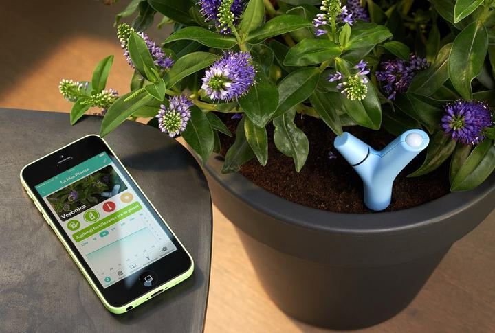 Produktbild Parrot Flower Power Pflanzensensor