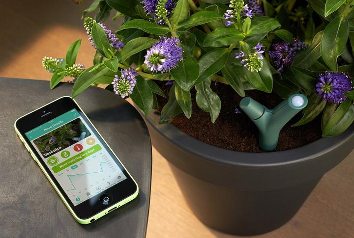 Immagine prodotto Parrot Sensore WiFi Flower Power