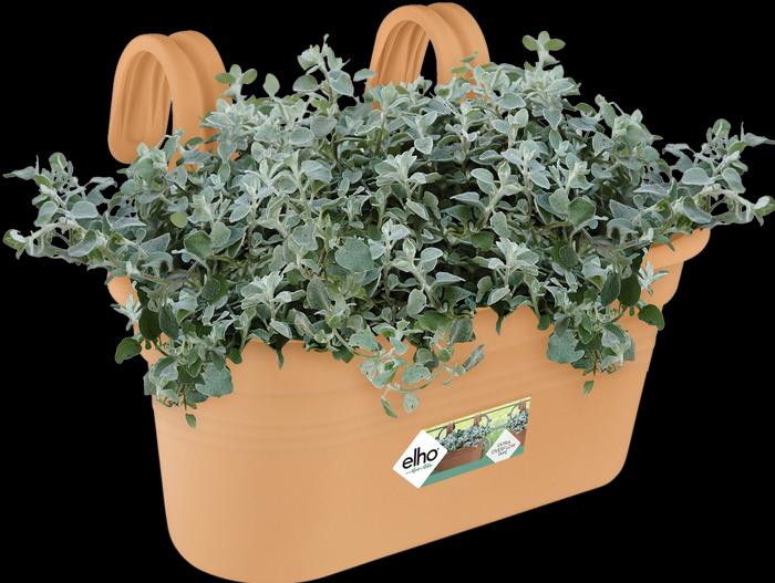 Produktbild Elho Balkonkasten Easy Hanger Green Basics, oval, 26x36x25,7 cm, aus Kunststoff in terracotta (26.20 cm)