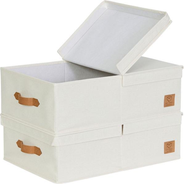 Love it Store it Set di 2 scatole con coperchio incernierato Premium - piatte (33 x 50 x 16 cm, 26.50 l)