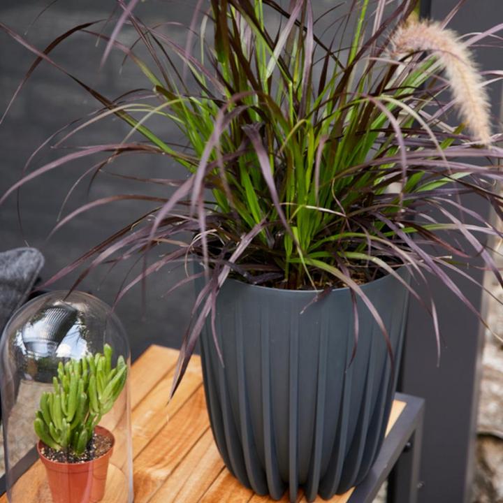 Image du produit Siena Garden Jardinière (19 cm)