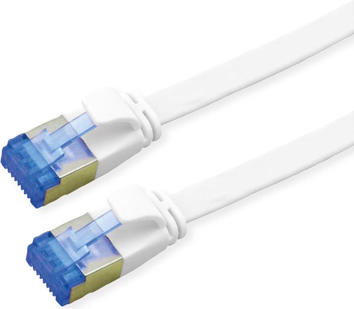 Image du produit Value Câble patch Cat.6A (Class EA) FTP (F/UTP, CAT6a, 1 m)