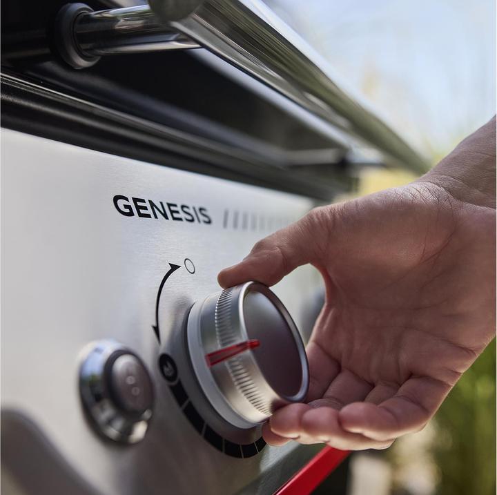 Image du produit Weber Genesis E-415W GBS (14.07 kW)
