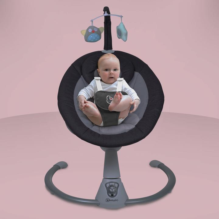 Actual product image BabyGo Homey