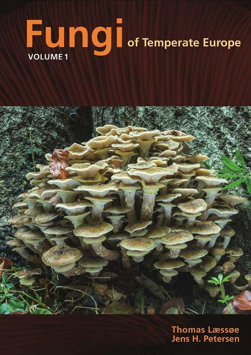 Image du produit Fungi of Temperate Europe (Jens Henrik Petersen, Thomas Laessoe, Anglais)