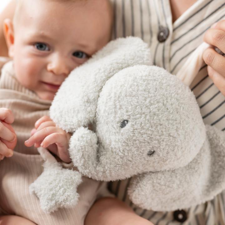 Actual product image Nattou Teddy elephant