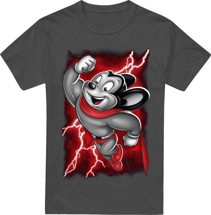 Produktbild Fruit of the Loom Mighty TShirt (L)