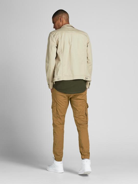 Actual product image Jack & Jones PAUL FLAKE AKM 542 Cargo Trousers (W33/L34)