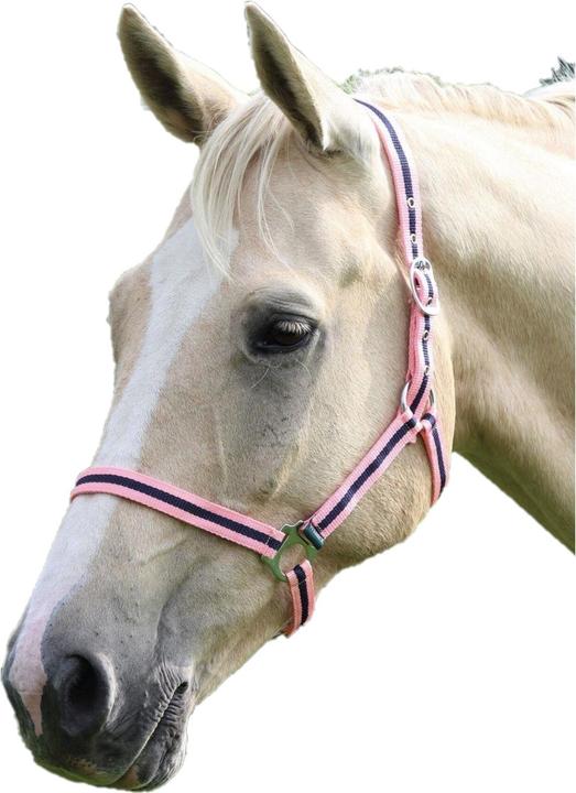 Horse halter
