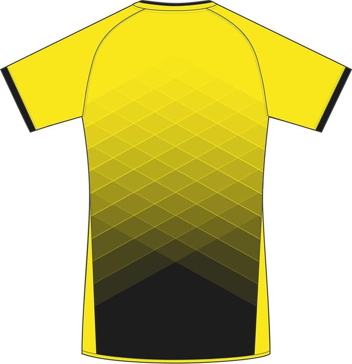 Produktbild Stanno Altius Trikot Damen (XL)