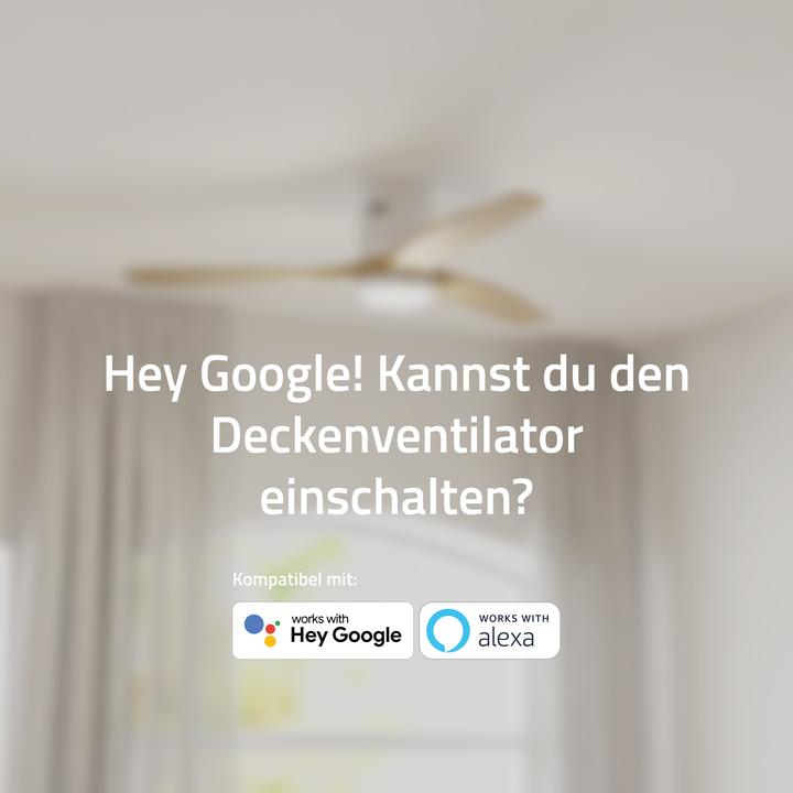 Actual product image Hombli Deckenventilator mit Licht (43 dB)