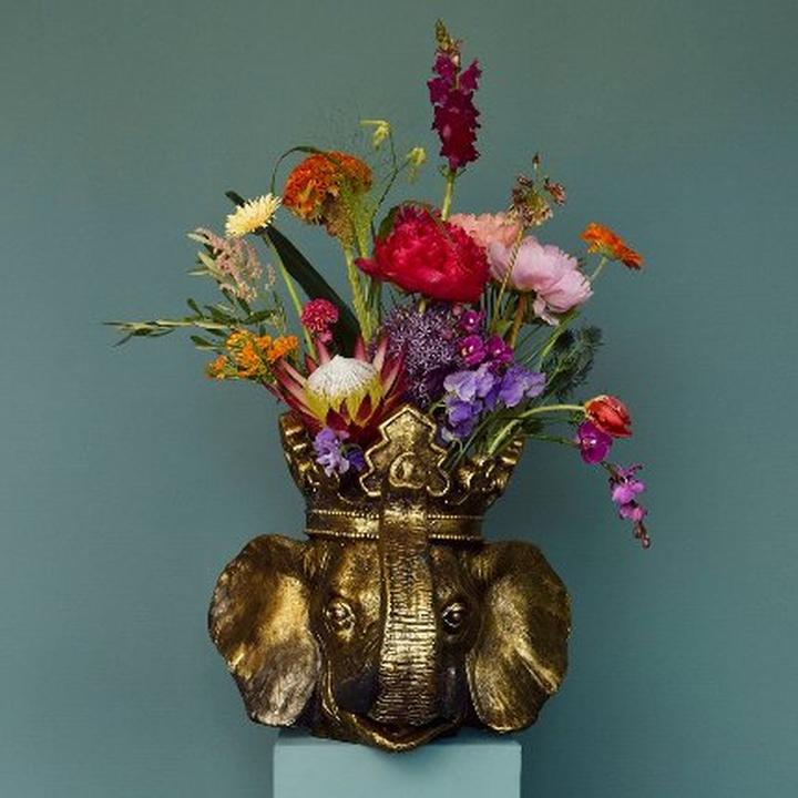 Image du produit Werner Voss Tête de plante éléphant Jumbo