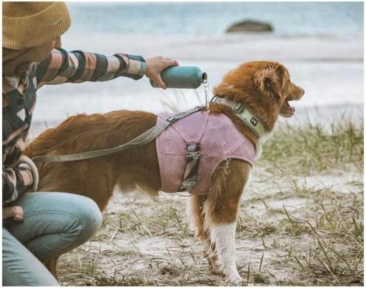 Immagine prodotto Hurtta Gilet rinfrescante per cani Rosa M (M, Gilet per cani)