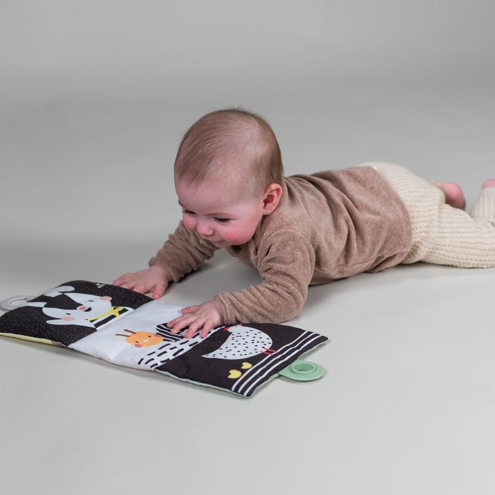 Image du produit Taf Toys Coffret cadeau Tummy Time