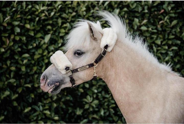 Actual product image Kentucky Horsewear Pony leather halter