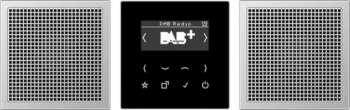 JUNG DABAL2 Smart Radio DAB+ Set Stereo (UKW, DAB+)