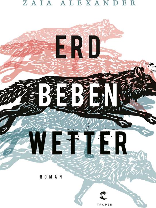 Actual product image Erdbebenwetter (German, Zaia Alexander, 2020)