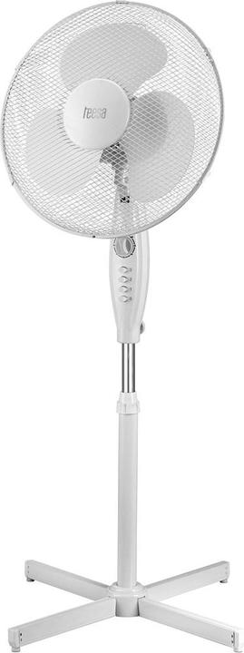 Teesa Fan