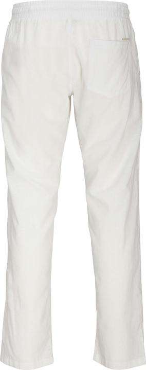 Image du produit Jack & Jones Jpstkane Jjsummer Jogger Sn (L)