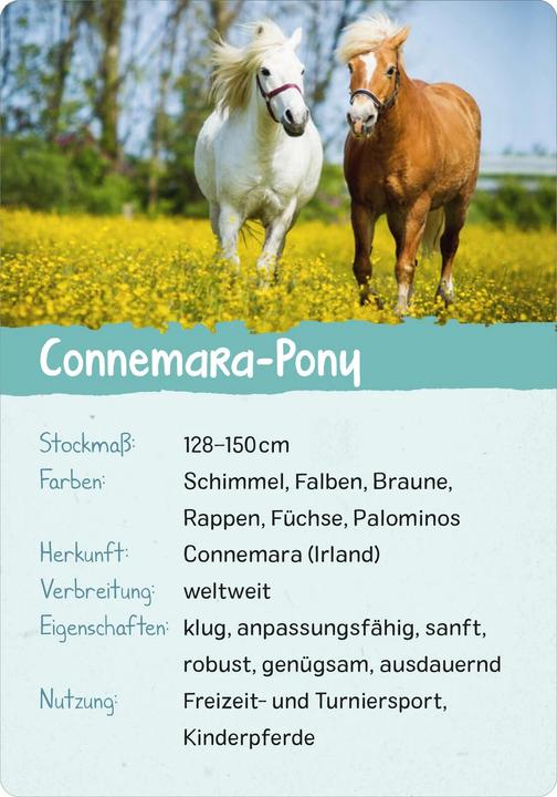 Produktbild Naturforscher-Kids – Pferde & Ponys (Deutsch, Miriam Scholz, 2024)