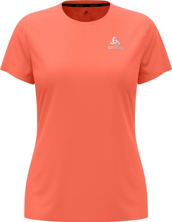 corail vivant