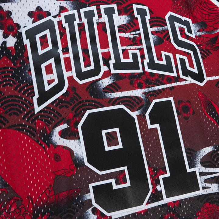 Actual product image Mitchell & Ness Swingman Mesh Jersey Chicago Bulls ASIAN Dennis Rodman - XL (XL)