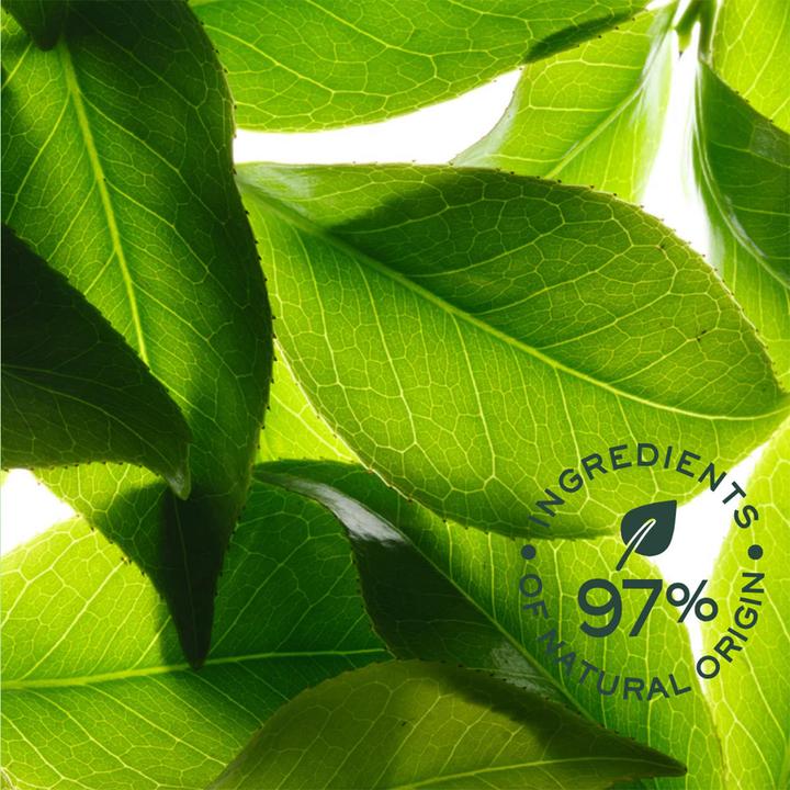 Actual product image Nuxe Rêve de Thé Duo EDeodorant 24h-Schutz erfrischend (Roll-on, 100 ml)