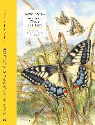 Produktbild Insectopia (Englisch, Jiri Kolibac, 2023)