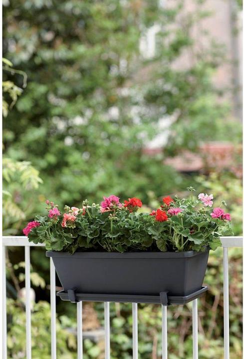 Produktbild Elho Barcelona (50 cm)