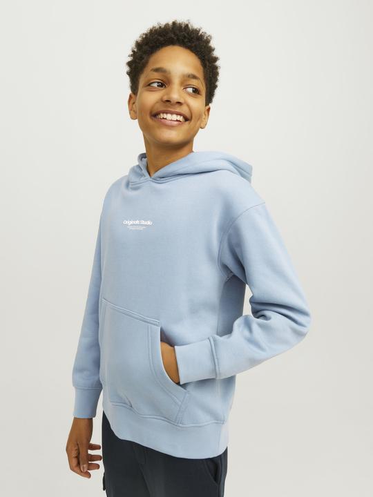 Actual product image Jack & Jones Jorvesterbro Sweat Hood Noos Mni (116)