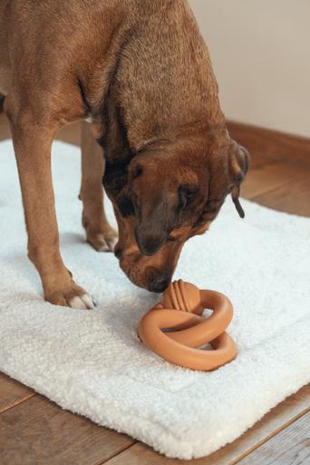 Image du produit Beeztees Équipe de sumo (Jouet à mâcher pour chien)