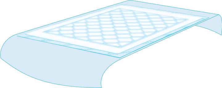 Actual product image Tena Bed Plus medical records 80 x 180 cm (20 x)