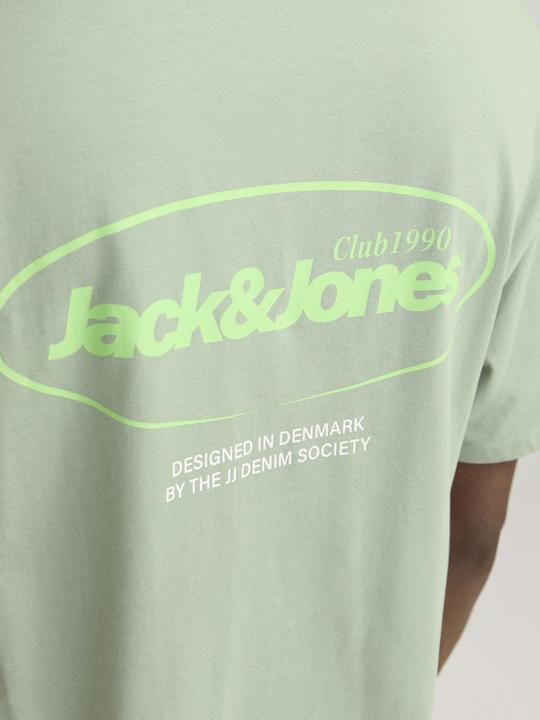 Actual product image Jack & Jones Jjebradley Graphic Tee Ss O-Neck Noos (L)
