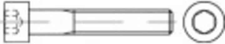 Productafbeelding Toolcraft Kaaskopschroeven M2,5 4 mm In (100 Schroeven per stuk)