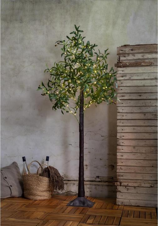 Produktbild Star Trading Dekorationsbaum Olivec, 178 LEDs, 180 cm, Grün (56 lm, IP44)