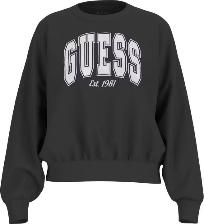 Guess Sweatshirt Pullover COLLEGE (L)