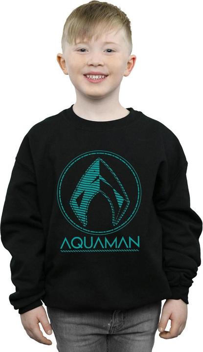 Produktbild Jungen Aquaman Aqua Logo Sweatshirt (152, 158)