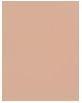 Immagine prodotto Shiseido Fondotinta in polvere auto-rinfrescante Synchro Skin Custom Finish (160 Conchiglia)