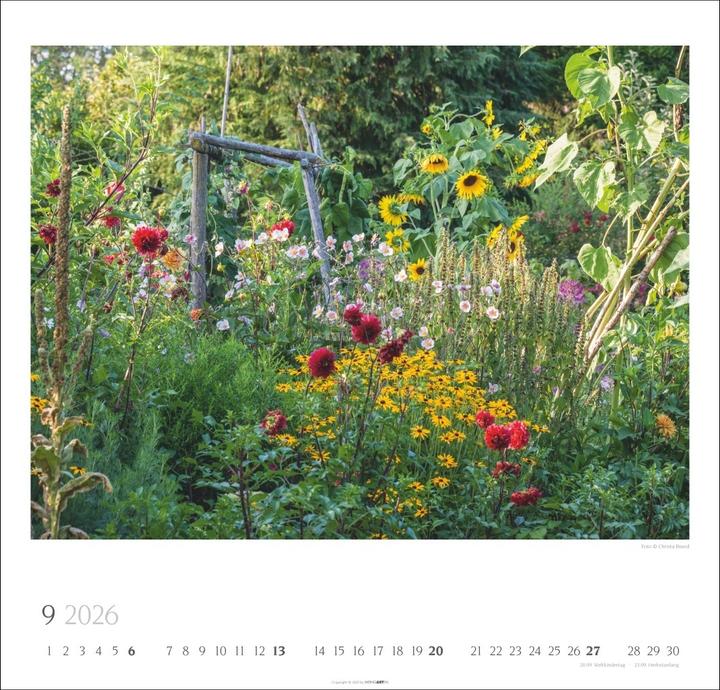Produktbild Bauerngärten Kalender 2026 (48 x 46 cm, Englisch, Deutsch)