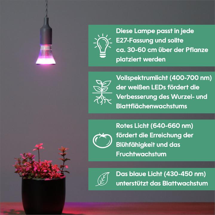 Actual product image Venso Grow Light Cultura (LED, 240 V)