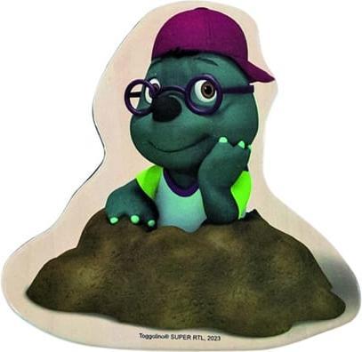 Actual product image Besttoy Toggolino - Magnet Set