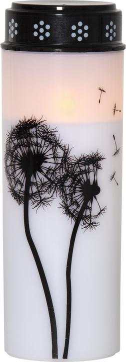 Image du produit Star Trading Lumière funéraire LED Dandelion (1 x)