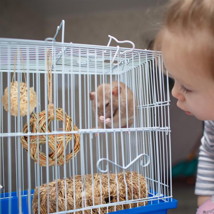 Actual product image Relaxdays Hamster accessories set