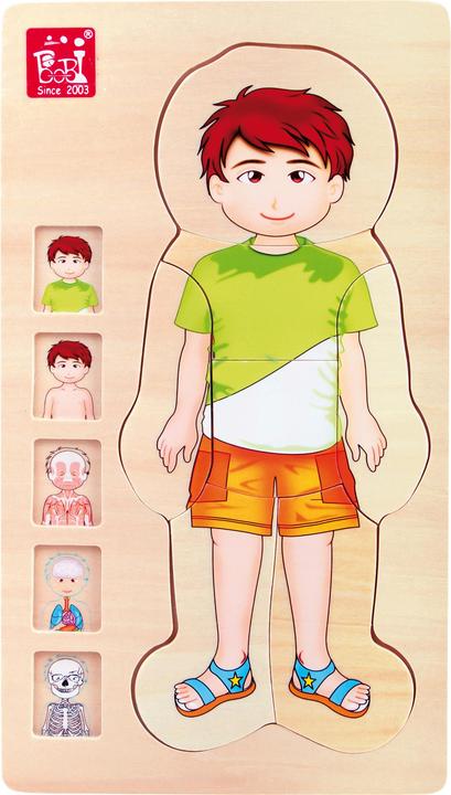 Produktbild small foot Anatomie Tim (29 Teile)