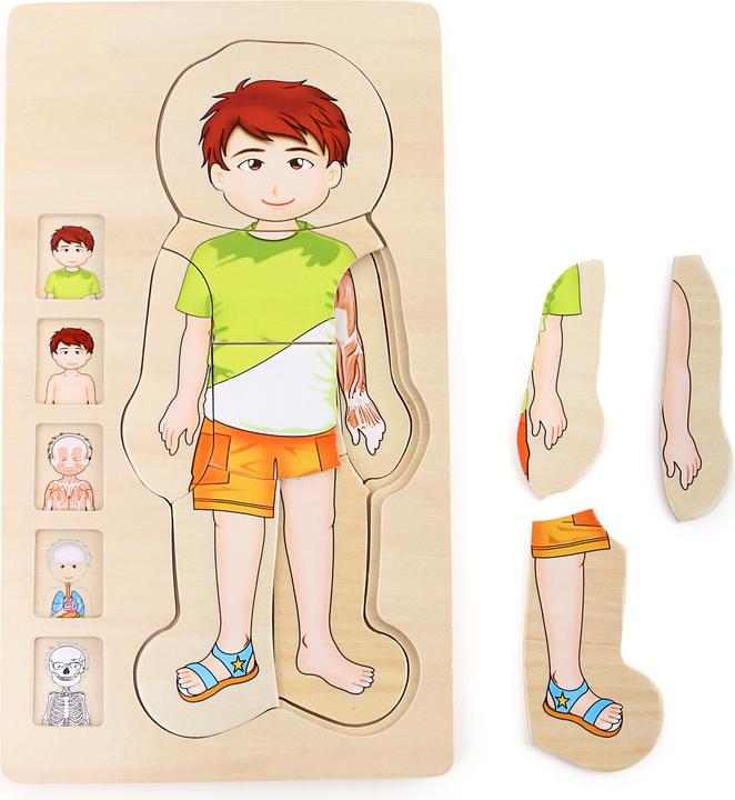 Produktbild small foot Anatomie Tim (29 Teile)
