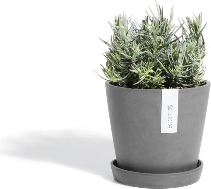 Image du produit Ecopots Amsterdam (30 cm)