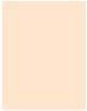 Actual product image MAC Cosmetics Studio Fix Powder Plus Foundation (No. NC10)