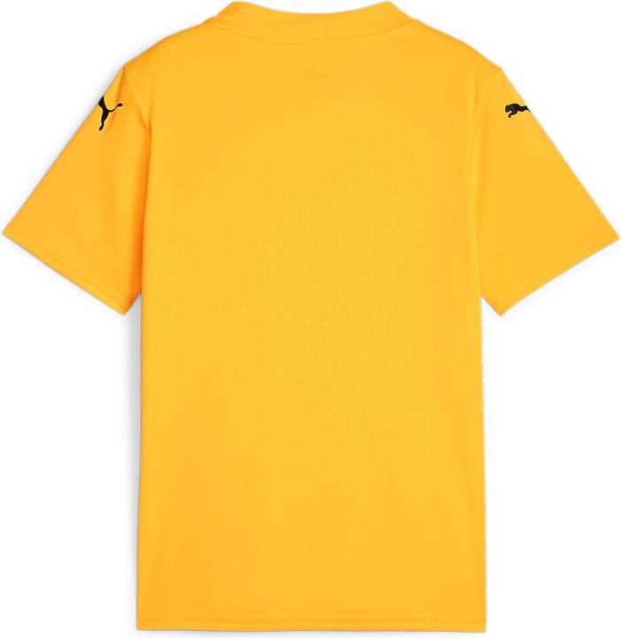 Produktbild Puma teamGLORY Jersey Jr (164)