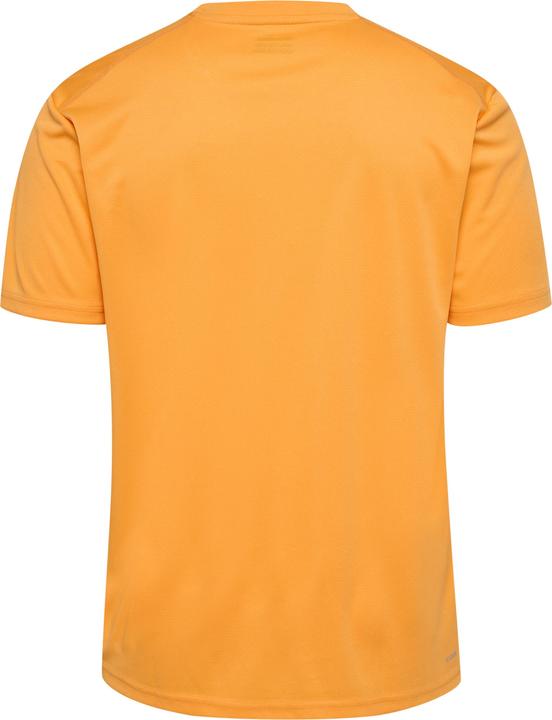 Blazing Orange